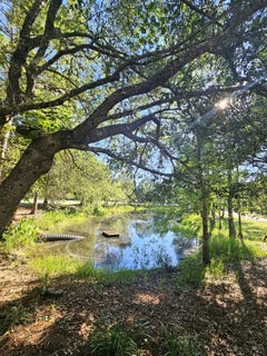 /international/us/1514-sweetbay-trail-panama-city-beach-fl-110108479866/