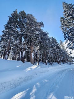 /international/us/529-e-meadows-drive-lot-306-markleeville-ca-110098196139/
