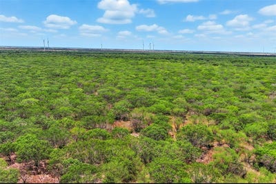 /international/us/21316-county-rd-798-lot-0-mathis-tx-110101339053/