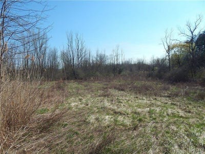 /international/us/3918-alene-corners-road-lincoln-ny-110101093374/?lang=zh-tw