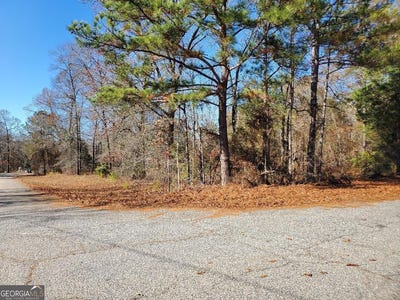 /international/us/tyler-court-fort-valley-ga-110109871756/
