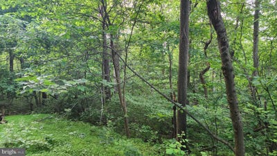 /international/us/50-oak-ridge-trail-fairfield-pa-110100592561/