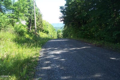/international/us/clearwood-road-lot-21-newport-tn-110108139503/