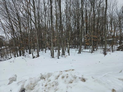 /international/us/2-1-2-avenue-ne-lot-1-block-1-saint-stephen-mn-110104815535/