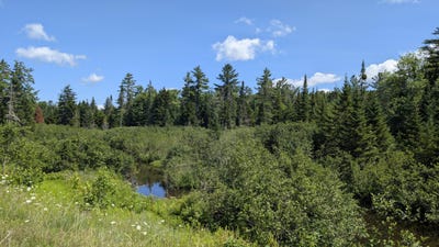 /international/us/10279-adirondack-trail-malone-ny-110101066702/?lang=pt