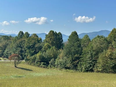 /international/us/lot-51-the-preserve-at-cc-young-harris-ga-110095203341/