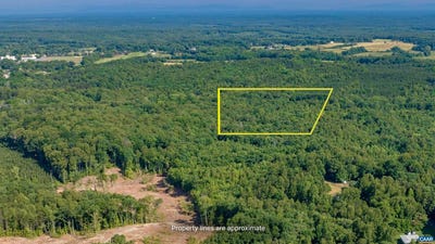 /international/us/lot-2-stag-rd-bremo-bluff-va-110102752194/