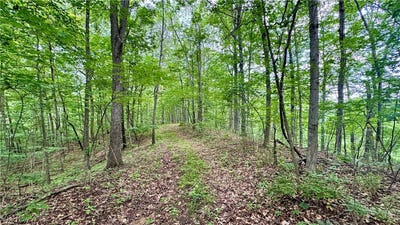 /international/us/noble-hill-rd-pleasant-city-oh-110100251291/?lang=zh-tw