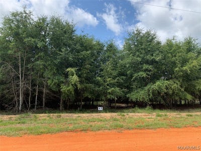 /international/us/deer-loop-lot-17-camden-al-110076820200/