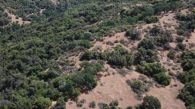 /international/us/8-acres-miramonte-ca-110097332881/?lang=zh-tw