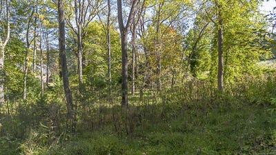 /international/us/tbd-overlook-cir-lexington-va-110103125916/