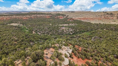 /international/us/tbd-s-9-8-10-road-glade-park-co-110101507996/?lang=it