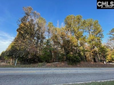 /international/us/1620-wash-lever-road-little-mountain-sc-110095771173/