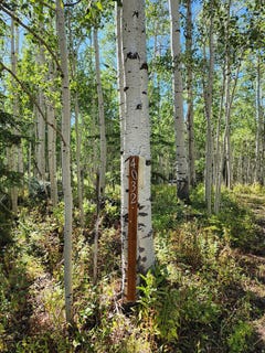 /international/us/4032-s-buck-way-heber-city-ut-110107908529/