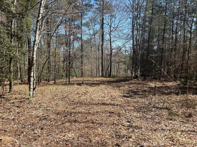 /international/us/lot-78-shoreside-at-sipsey-double-springs-al-110108468437/