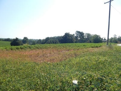 /international/us/return-church-road-seneca-sc-110101118872/?lang=zh-tw