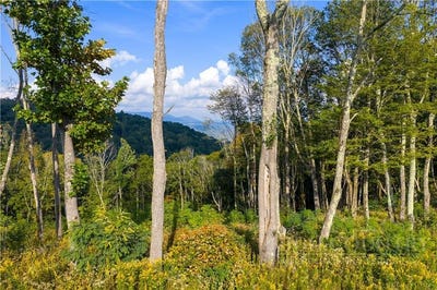 /international/us/146-banner-glade-trail-banner-elk-nc-110102474360/