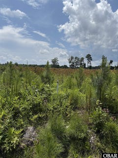 /international/us/tbd-cove-road-new-hope-nc-110101362626/?lang=zh-tw