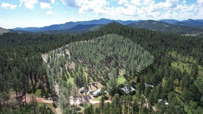 /international/us/12491-s-tall-pine-road-hill-city-sd-110106928773/