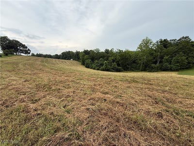 /international/us/shepards-hill-road-jacobsburg-oh-110100916259/