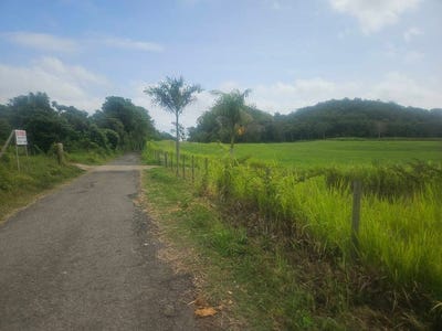 /international/us/carr-130-campo-alegre-hatillo-pr-110101218626/?lang=en