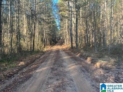 /international/us/lambert-road-lot-56-ac-cragford-al-110109696953/