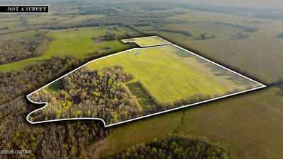 /international/us/boydsville-road-palmersville-tn-110107061952/