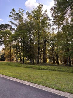 /international/us/111-113-wayfair-court-thomasville-ga-110098539451/?lang=zh-tw