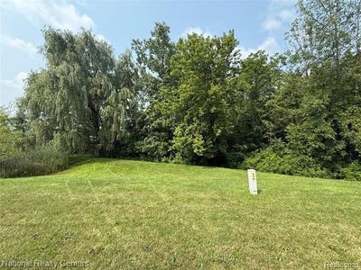 /international/us/10405-valley-creek-drive-goodrich-mi-110101344174/
