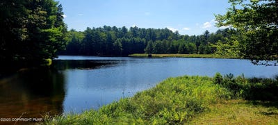 /international/us/157-bernadette-drive-dingmans-ferry-pa-110101219691/