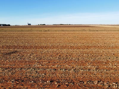 /international/us/6663-tiger-ropesville-tx-110120123504/
