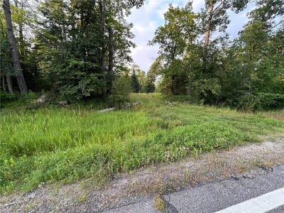 /international/us/tbd-hwy-200-hill-lake-twp-mn-110101447765/?lang=zh-tw