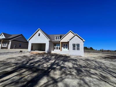 /international/us/783-bruner-mill-raod-ashford-al-110103030275/