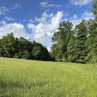 /international/us/5400-brandonville-pike-terra-alta-wv-110109005582/