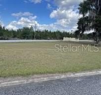 /international/us/100-siesta-circle-welaka-fl-110106303932/