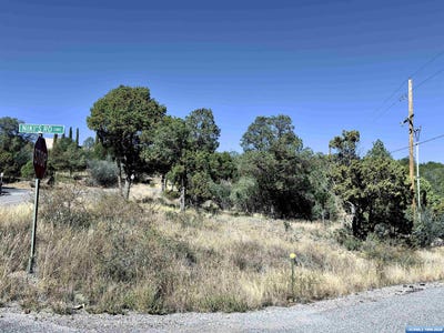 /international/us/ne-swan-silver-city-nm-110108209053/
