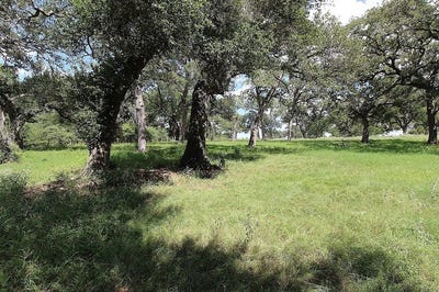 /international/us/1801-fm-1383-schulenburg-tx-110102582954/
