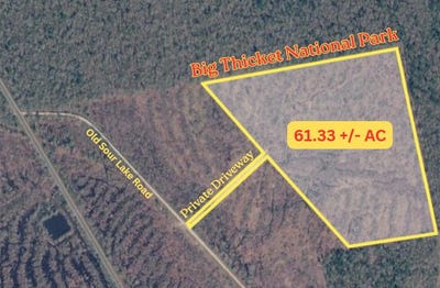 /international/us/61-33-ac-old-sour-lake-road-sour-lake-tx-110107776261/