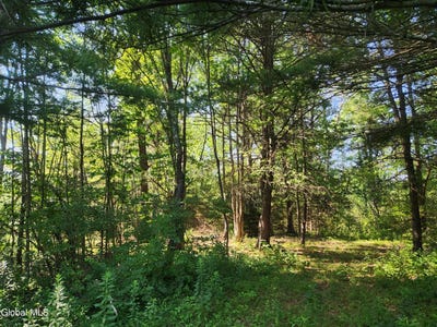 /international/us/lot-4-skyline-drive-delanson-ny-110101011717/