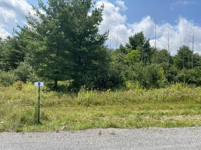 /international/us/lot-9-hemlock-hills-rd-towanda-pa-110090761108/