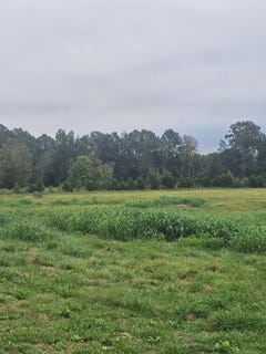 /international/us/hwy-704-burkesville-ky-110120149067/