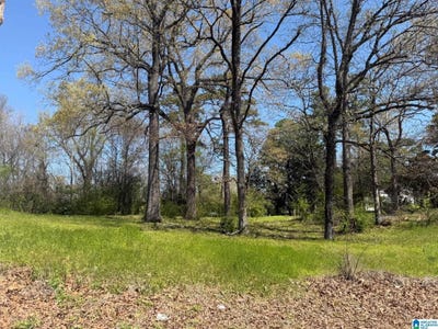 /international/us/5251-7th-avenue-lot-1-midfield-al-110109593841/