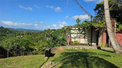 /international/us/bo-guaraguao-sector-sanchez-mulero-bayamon-pr-110108223329/