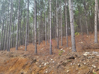 /international/us/no-911-boktuklo-mountain-preserve-tracts-6-7-honobia-ok-110081518418/