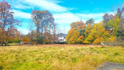 /international/us/114-e-willow-tree-road-spring-valley-ny-110088209350/?lang=en