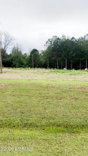 /international/us/8487-mississippi-19-collinsville-ms-110107585384/