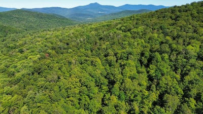 /international/us/0-beaver-pond-road-hinesburg-vt-110101340857/?lang=zh-cn