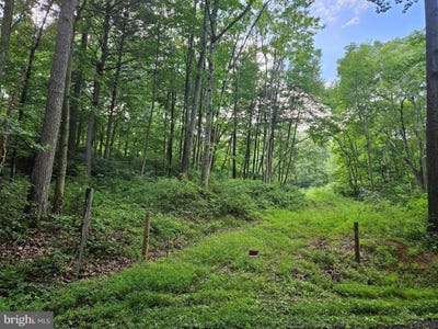 /international/us/8747-sweetwater-road-fort-loudon-pa-110100773046/?lang=zh-tw