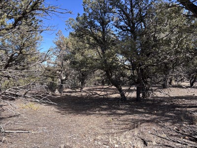/international/us/unit-1-tract-117-el-vado-lake-subd-tierra-amarilla-nm-110097605107/