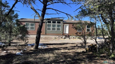 /international/us/121-el-caso-rd-road-quemado-nm-110098137497/